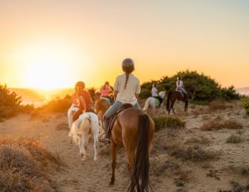 horses on beach