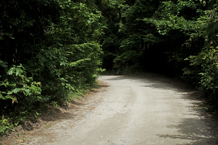 Old Nags Head Woods Road is perfect for a fat tire bike ride.